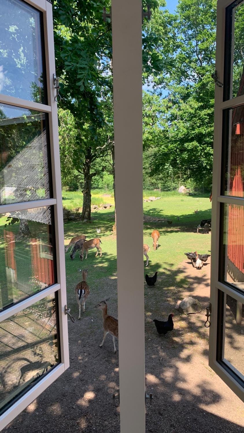 Bedroom, Garden view