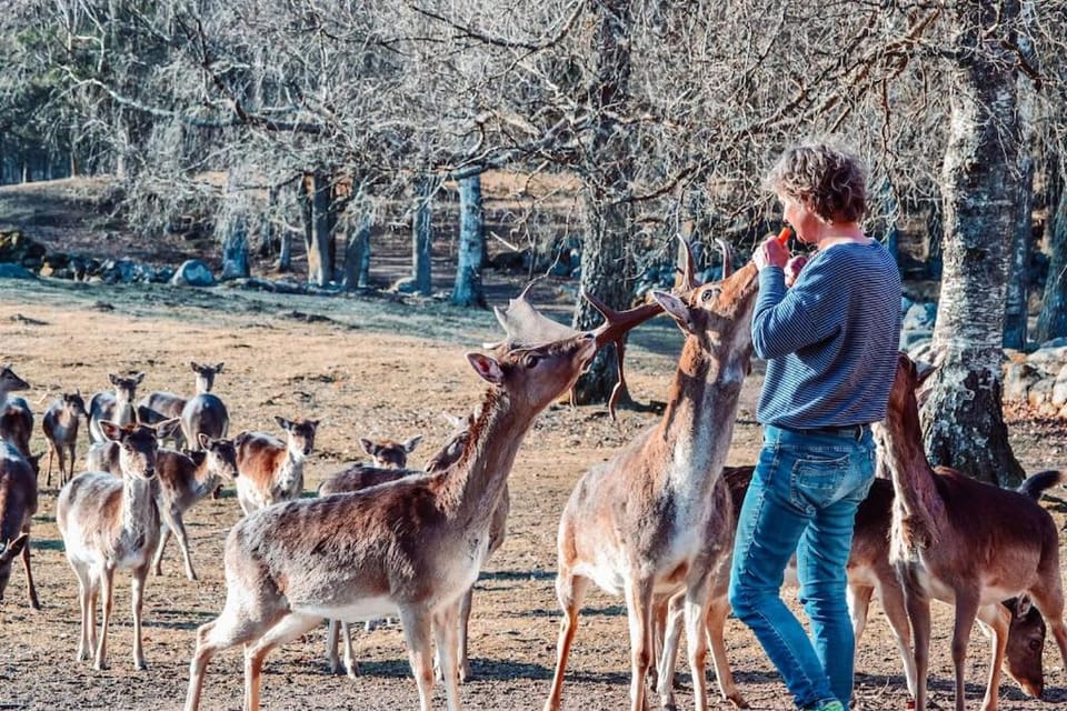 Animals