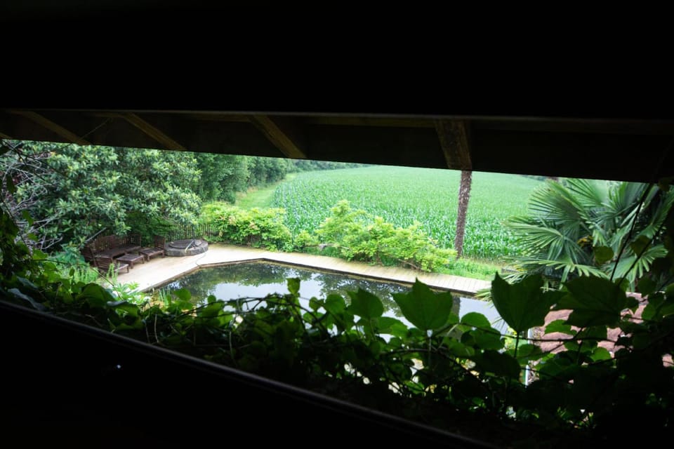 Garden view