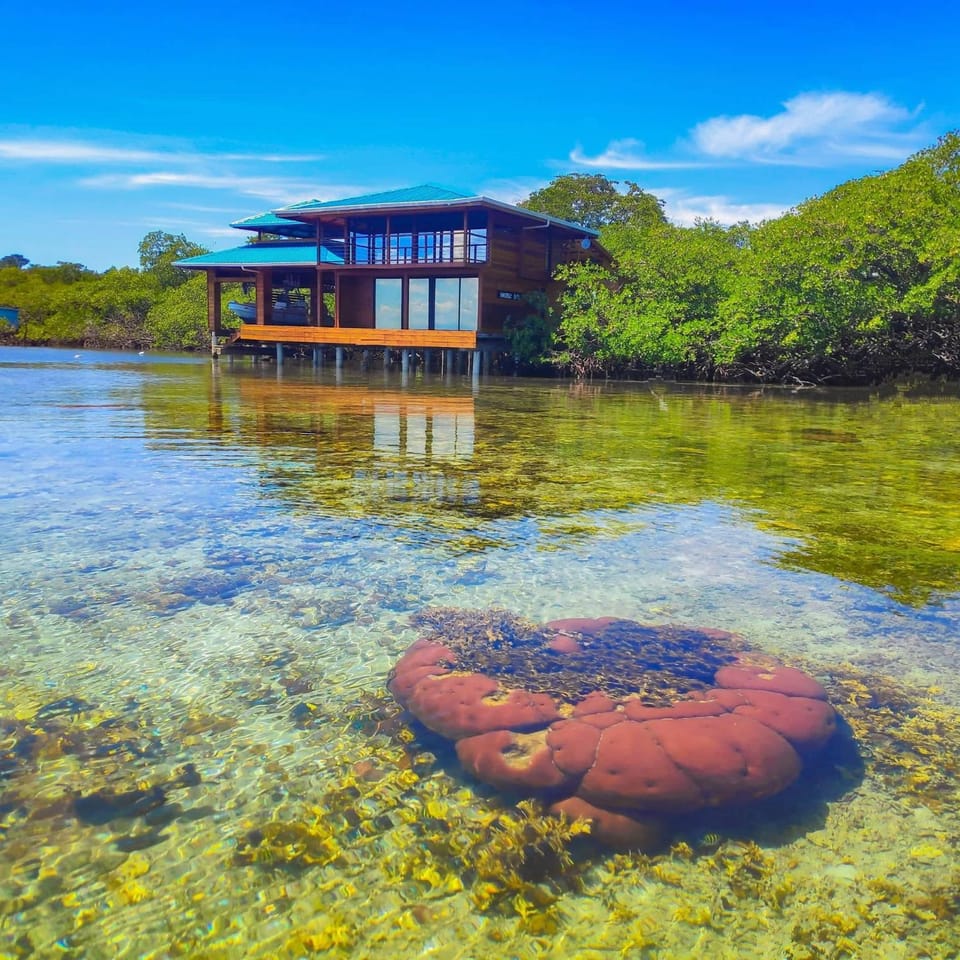 Property building, Snorkeling, Balcony/Terrace, Beach, Sea view, Sea view, Breakfast