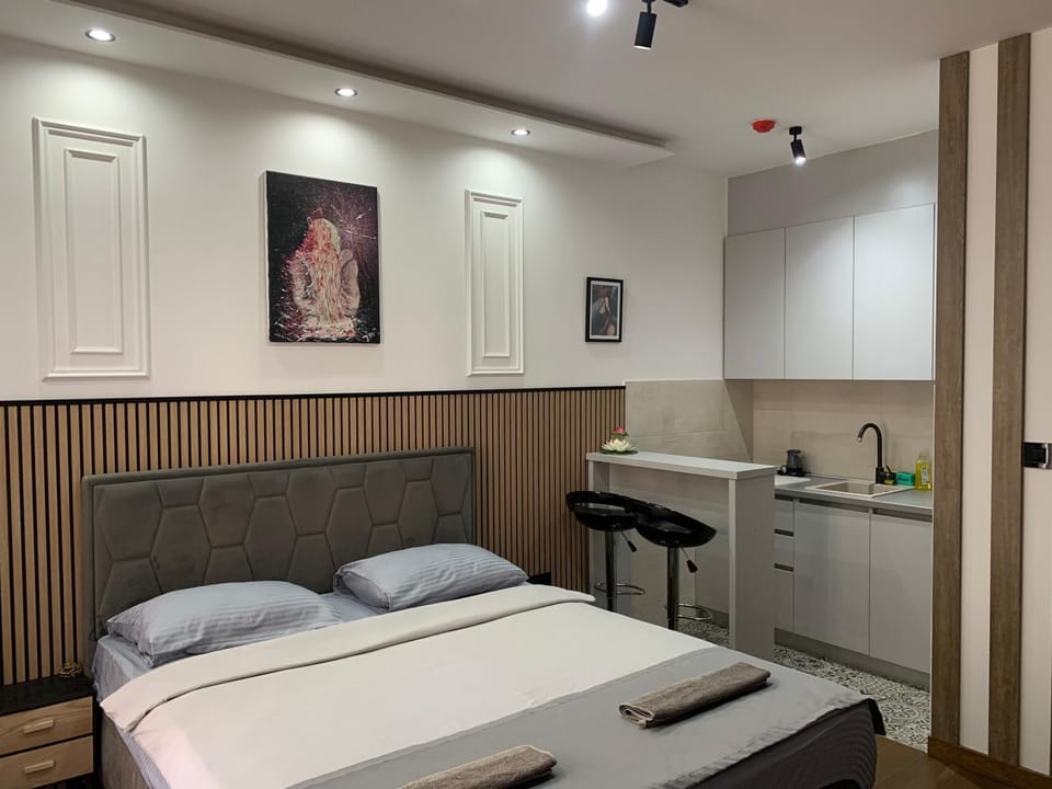 AD luxury Apartment in Podgorica