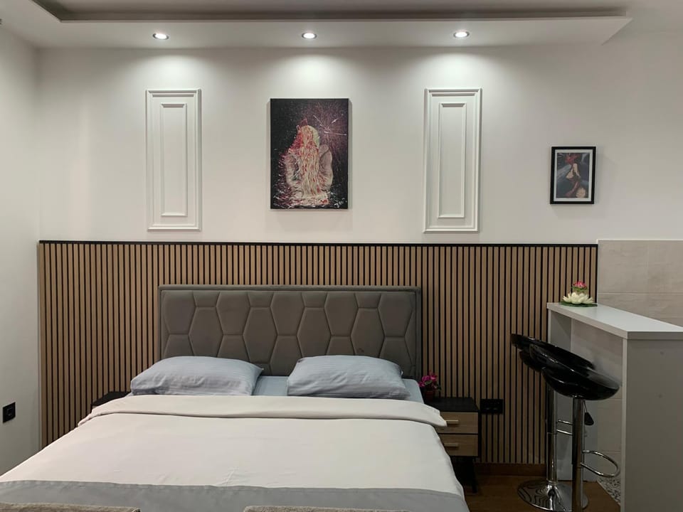AD luxury Apartment in Podgorica