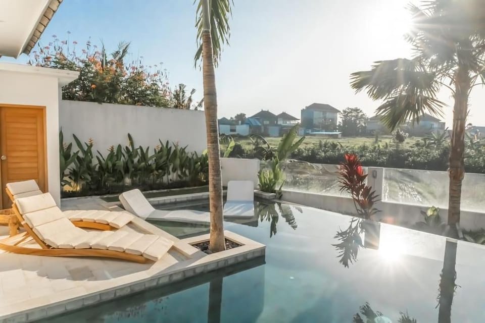 Natural landscape, Pool view, Swimming pool, sunbed