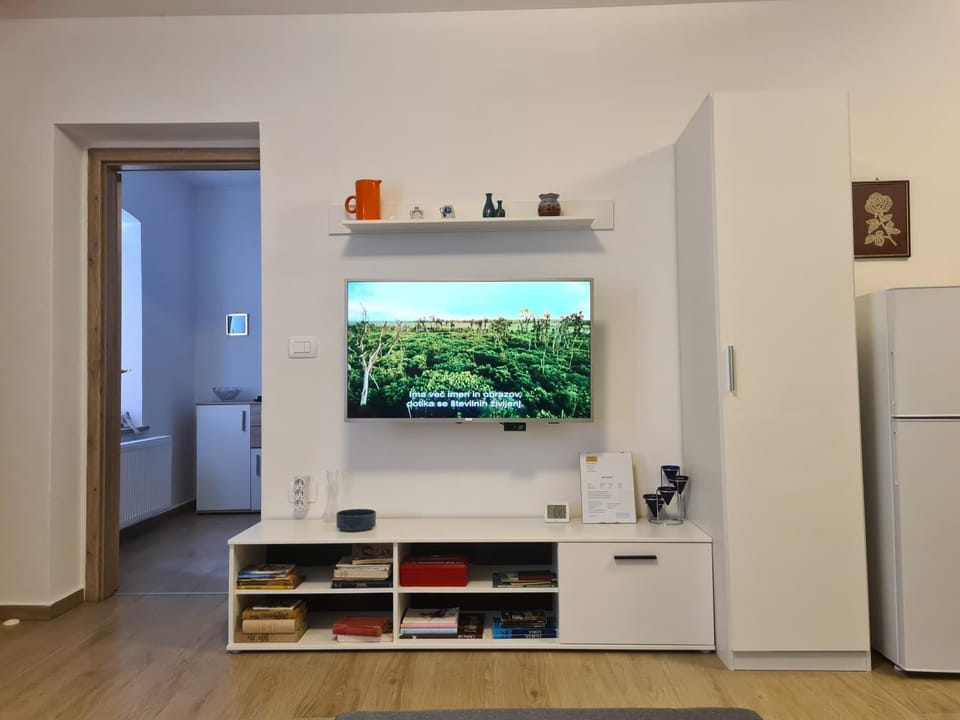 Communal lounge/ TV room, TV and multimedia, wardrobe