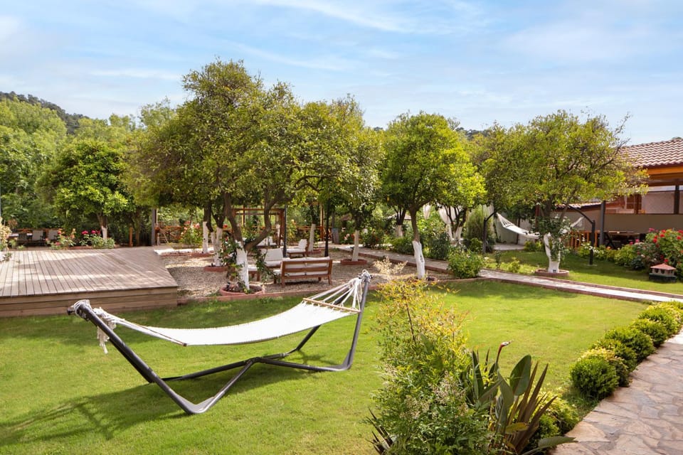 Garden, sunbed