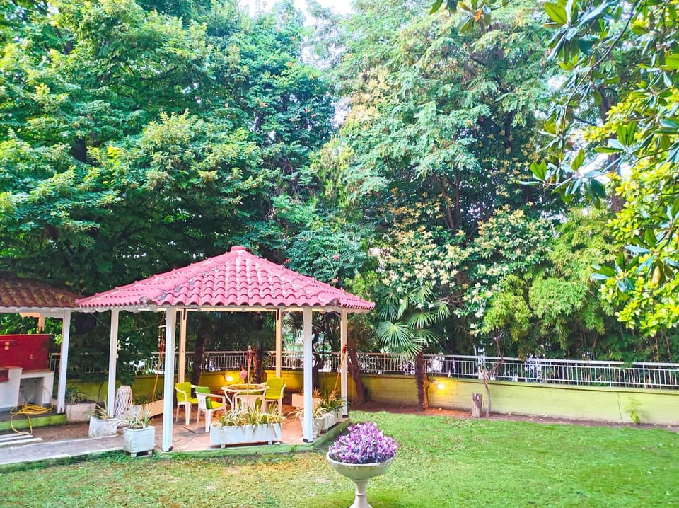 Day, Garden, Garden, Garden view