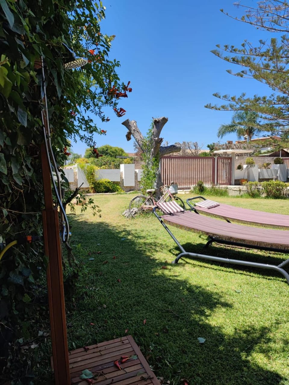 Green Rooms - Marzamemi Bed and Breakfast in Sicily