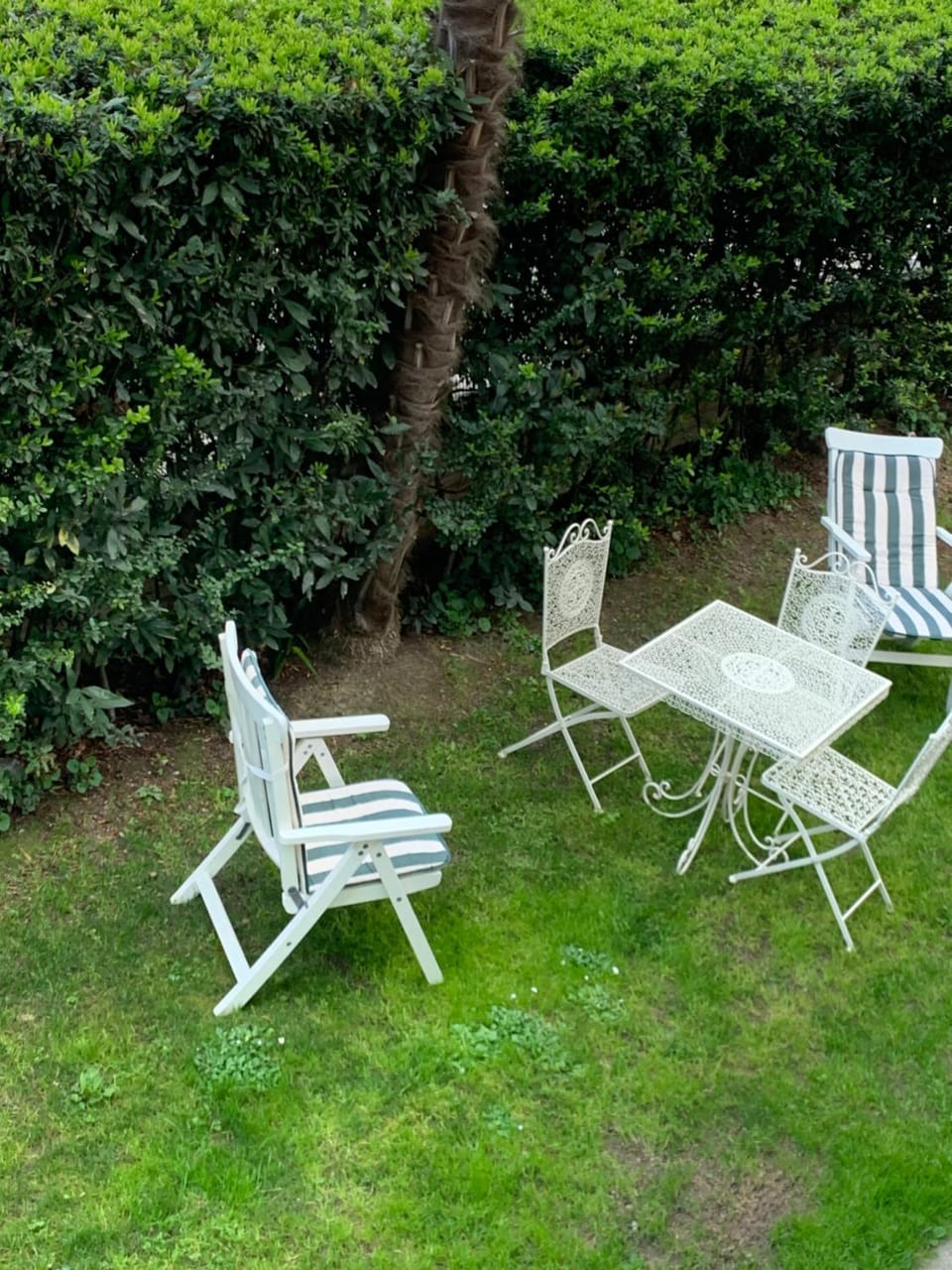 Garden, Garden, Garden view