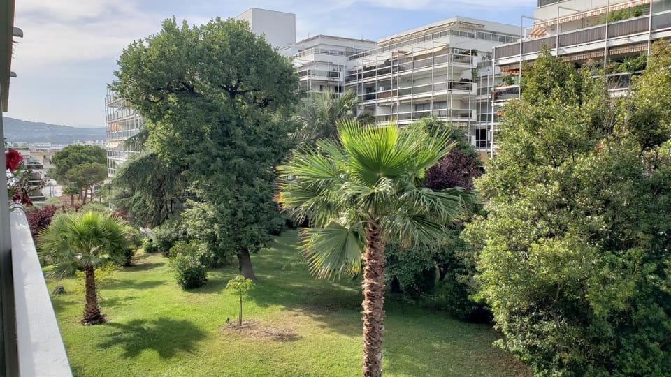 Garden view