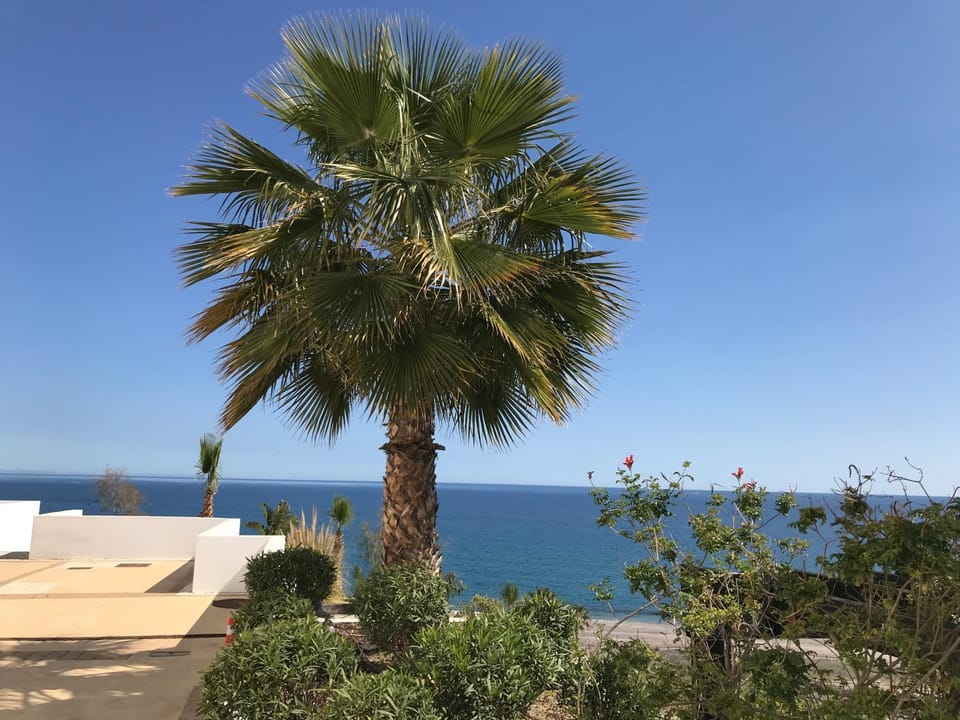 PalmBeach Mojácar Apartment in Andalusia
