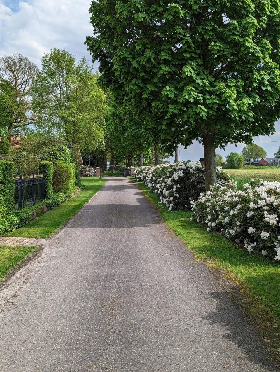 Natures-Rest Wielen House in Overijssel (province)