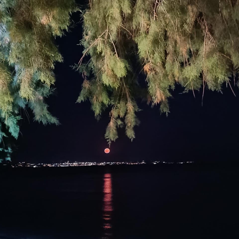 Night, Natural landscape