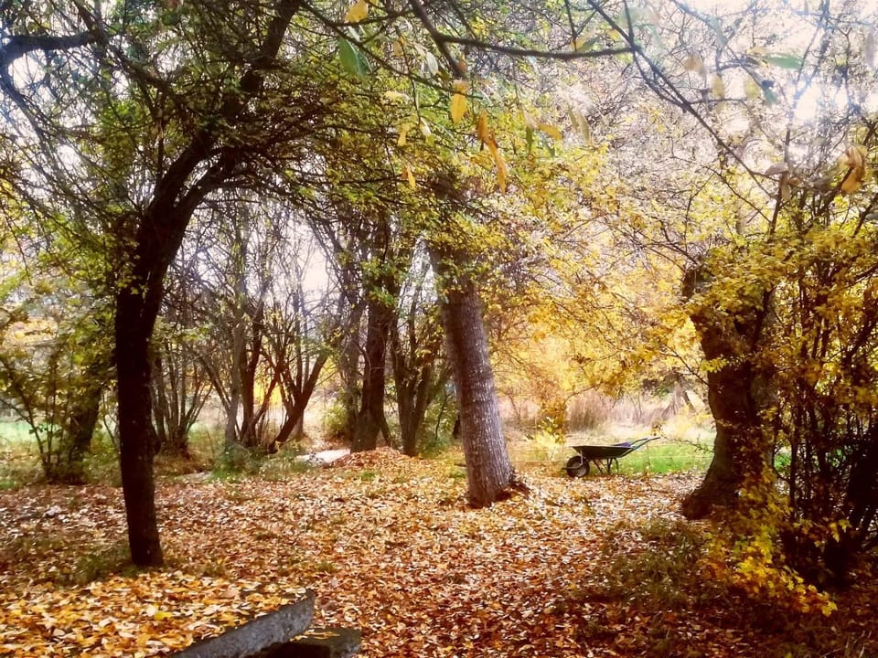 Natural landscape