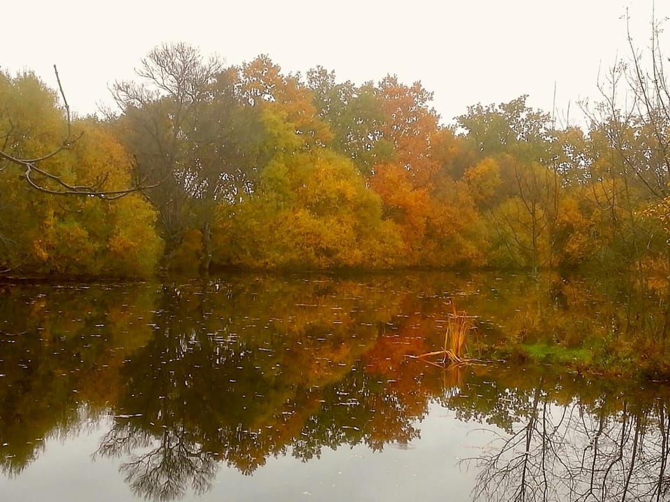 Natural landscape, Lake view