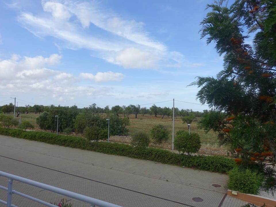 Natural landscape, Hiking, Street view