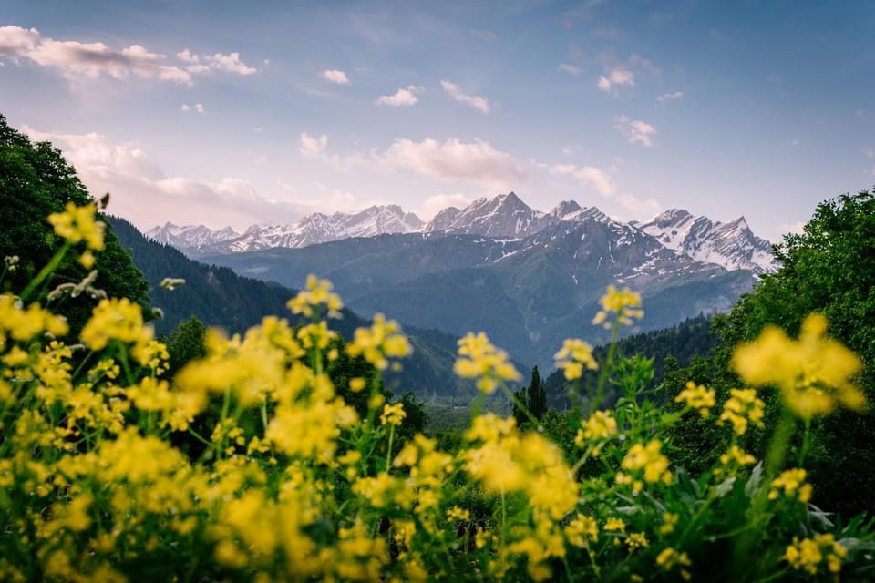 Mountain view