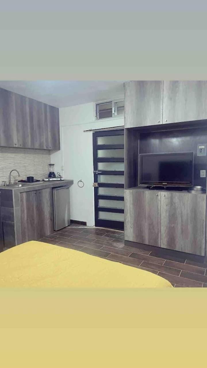 STUDIO RECIEN RENOVADO EN EL CENTRO DE LA CIUDAD DE MORELIA. Apartment in Morelia