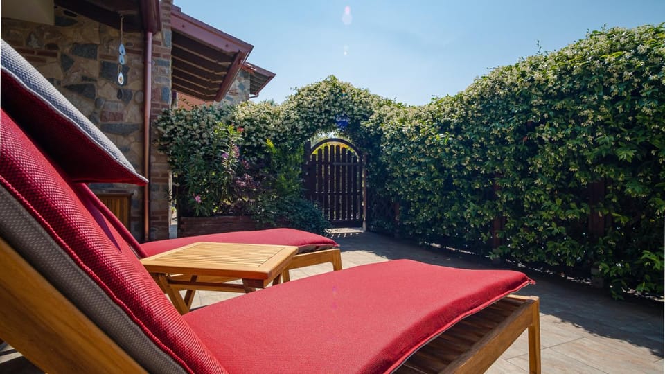 Garden, sunbed