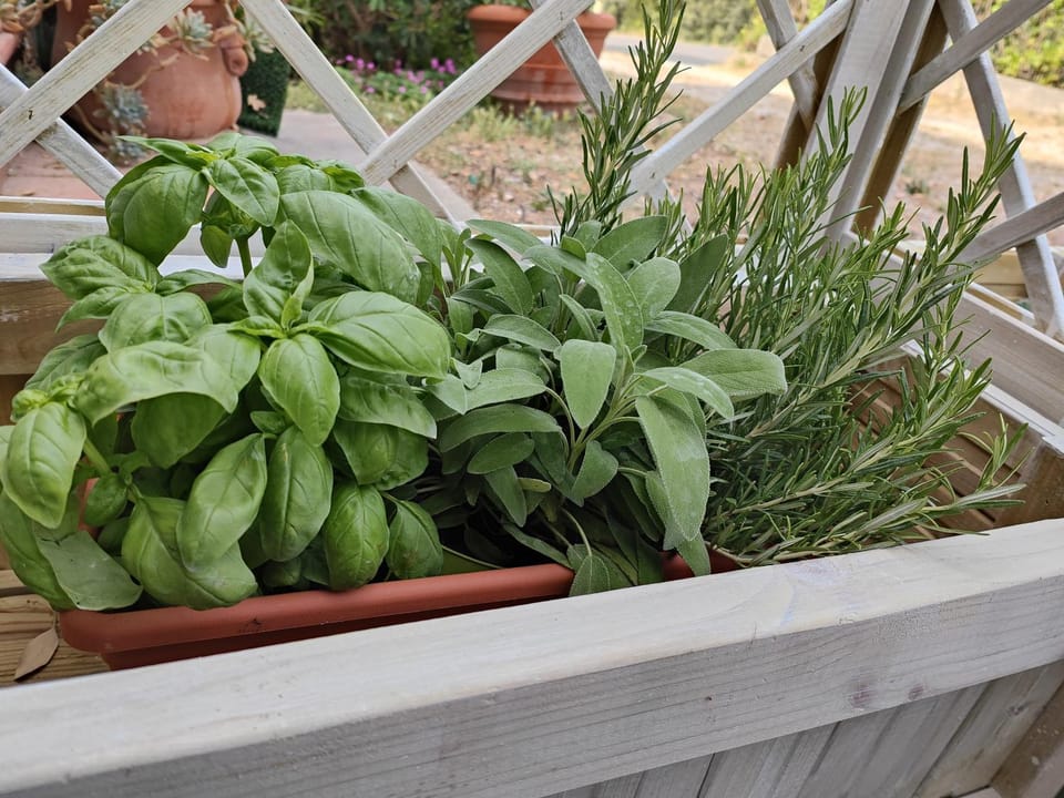 Balcony/Terrace, Food and drinks, Food