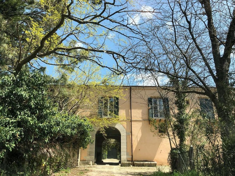 Property building, Spring, Garden, Garden view