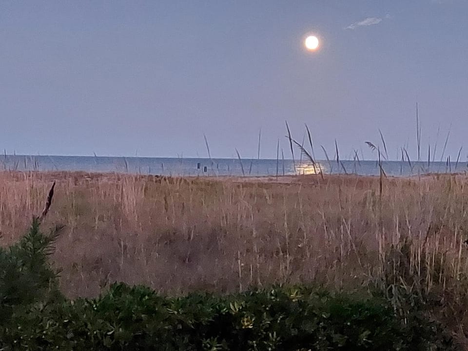Appartamento fronte mare costa dei trabocchi Apartment in Abruzzo