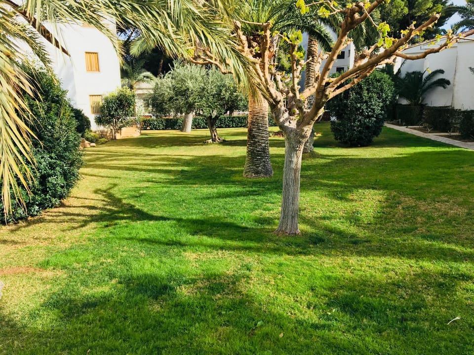 Spring, Day, Natural landscape, Garden