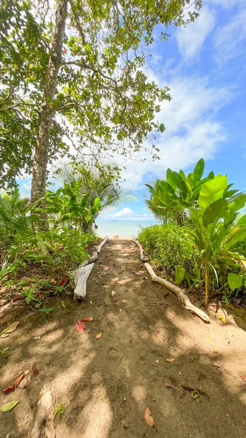 Nearby landmark, Day, Natural landscape, Beach, Sea view