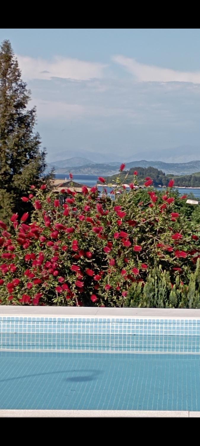 Summer House in Corfu Town Apartment in Corfu