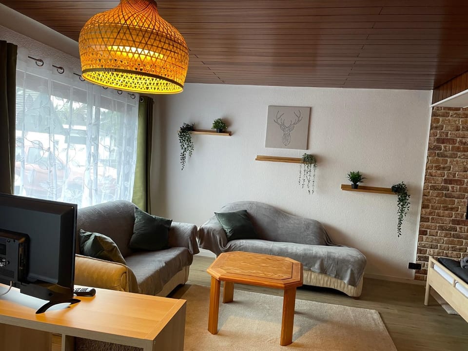 Living room, Photo of the whole room