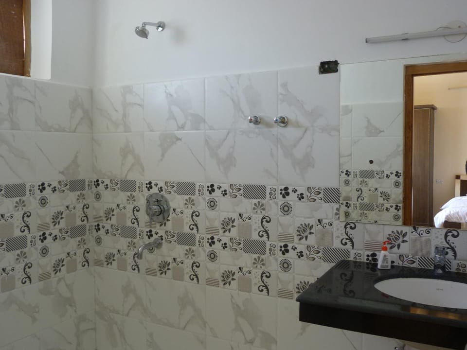 Orion Home Bed and Breakfast in India