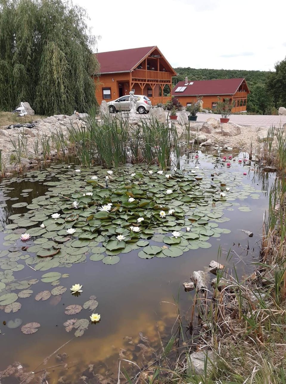 Property building, Garden, Garden view
