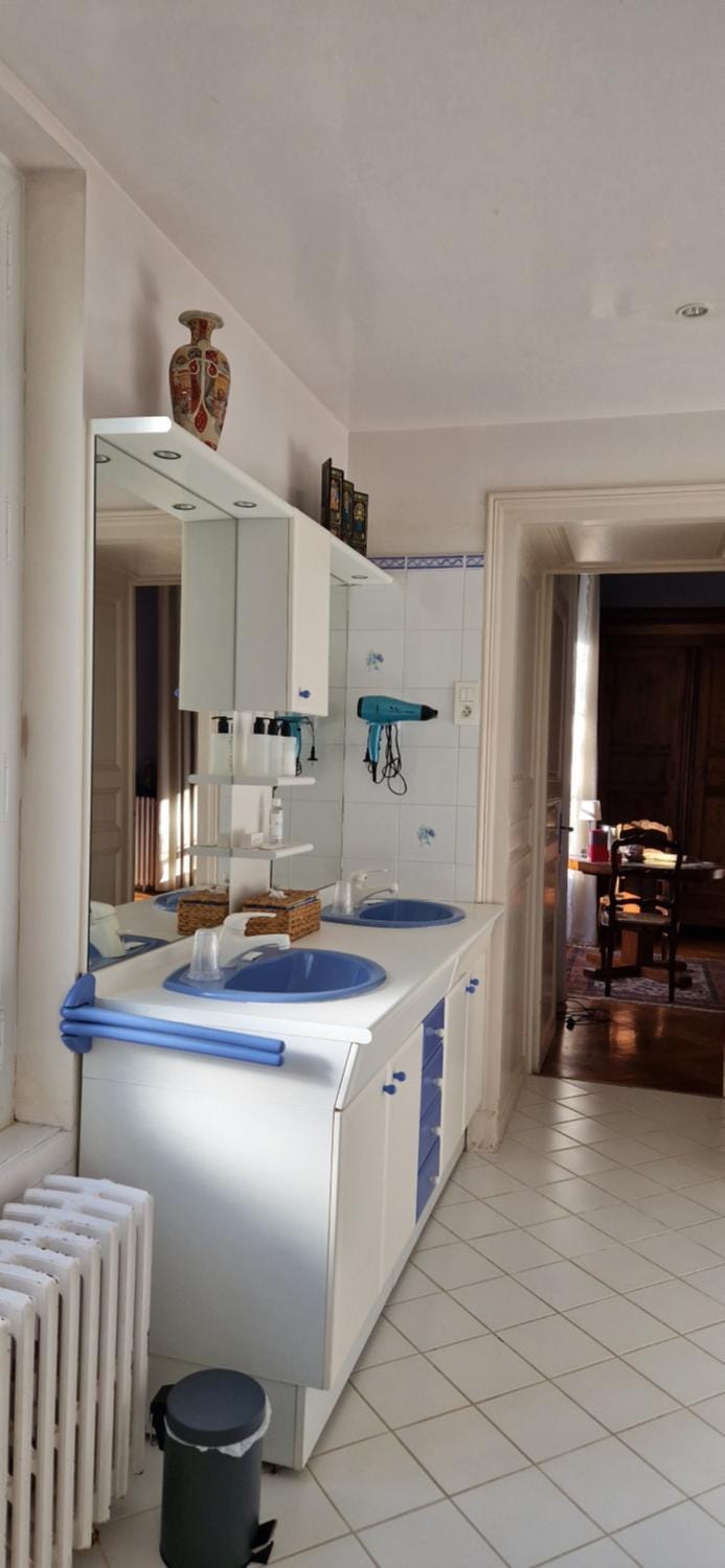 Chateau de Viviez Bed and Breakfast in Auvergne-Rhône-Alpes