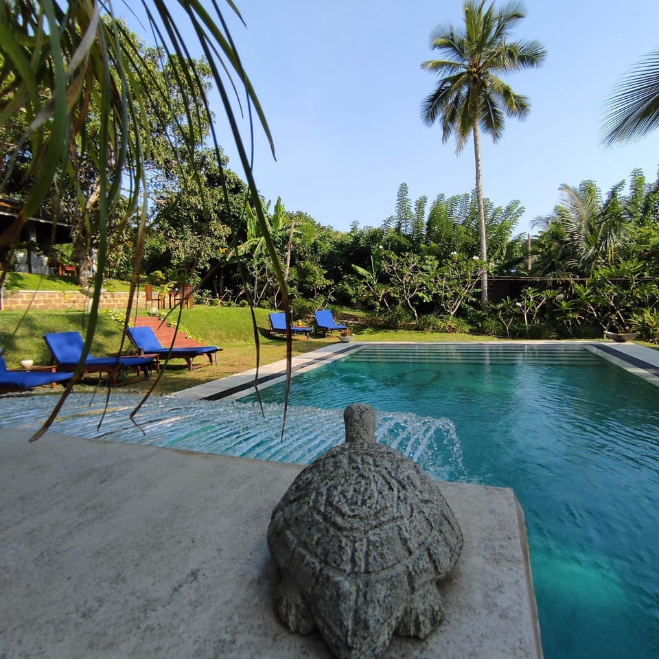 Property building, Garden, Garden view, Swimming pool, sunbed
