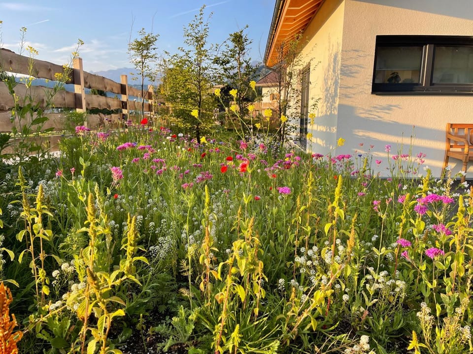 Property building, Garden