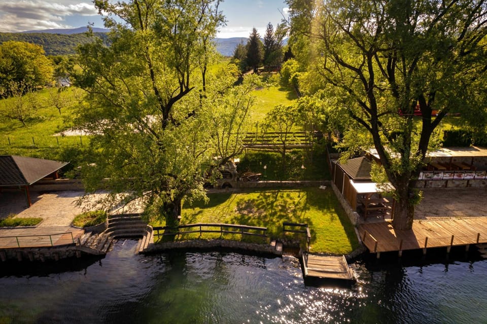Day, Natural landscape, Garden view, River view