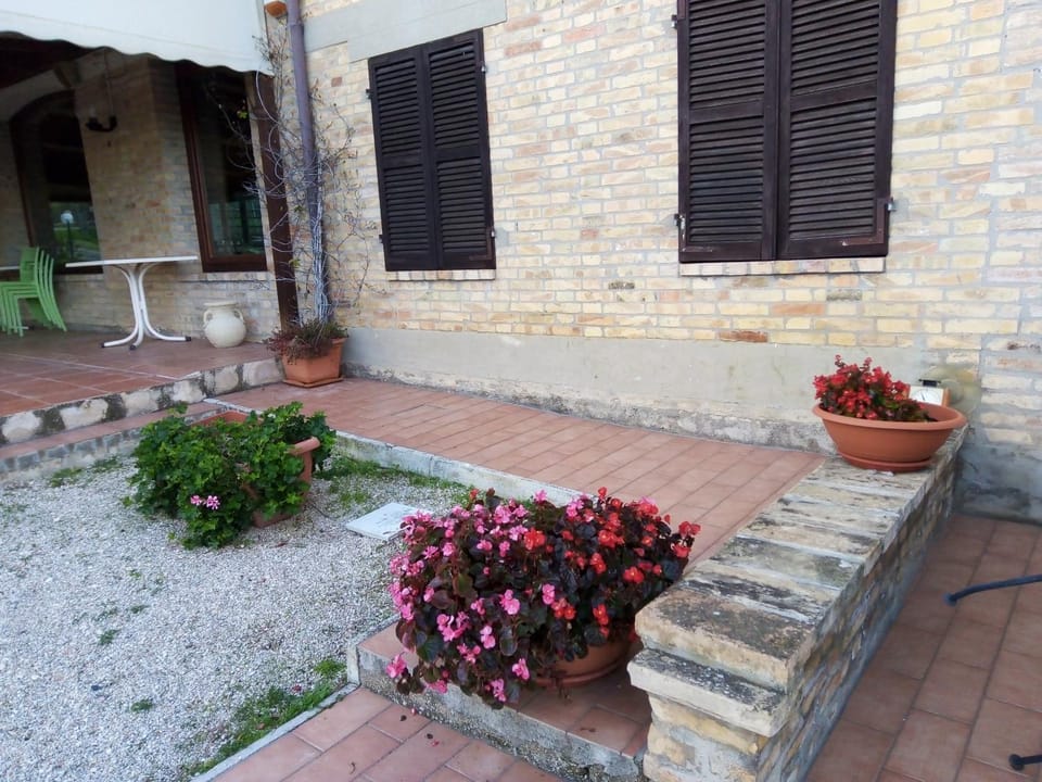 Facade/entrance, Garden