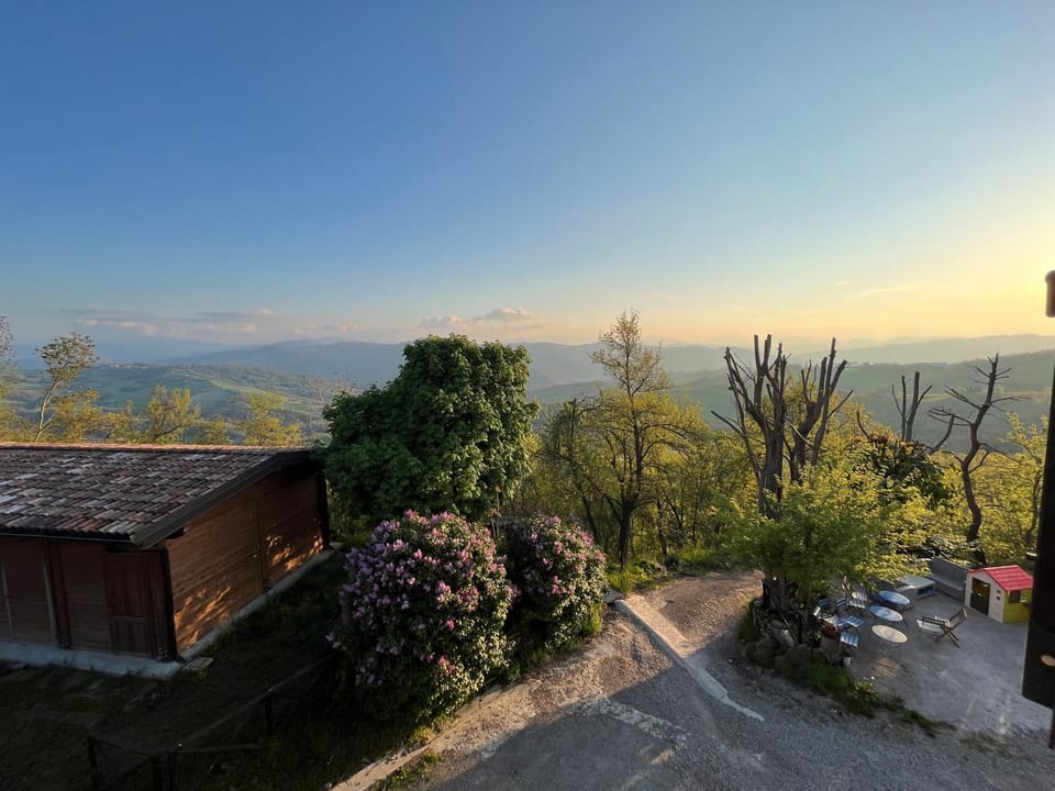 Mountain view
