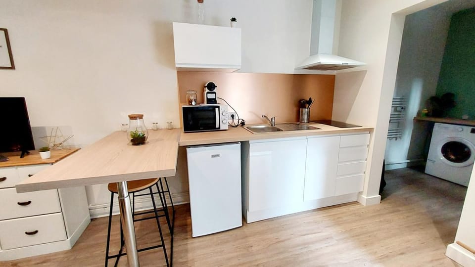 Cosy Yucca - T1 - Quartier des halles & Parking Apartment in Pau