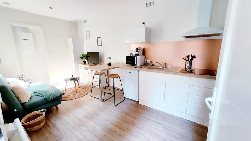 Cosy Yucca - T1 - Quartier des halles & Parking Apartment in Pau