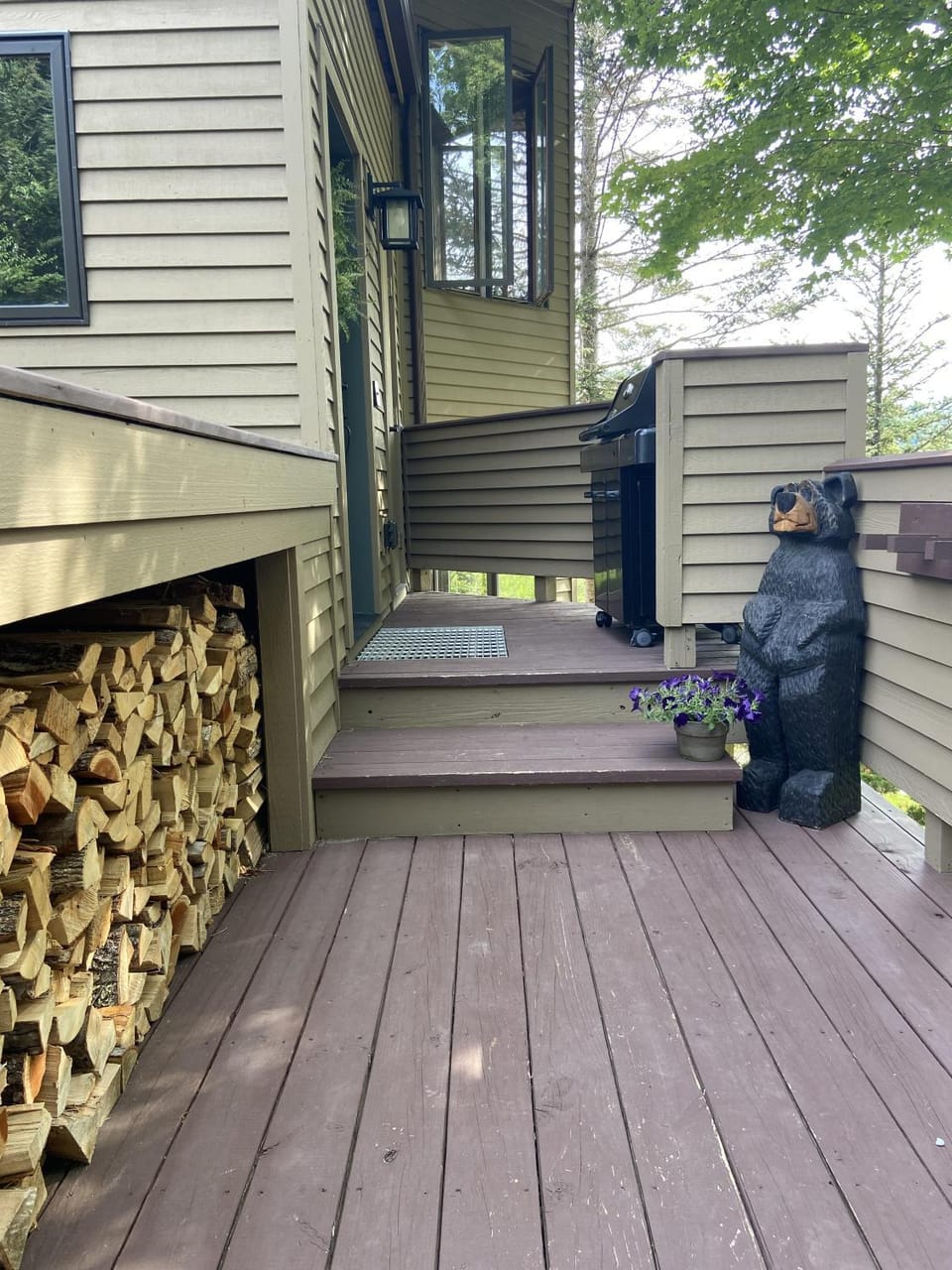 C12 Homey Bretton Woods slopeside townhome for your family getaway to the White Mountains Villa in Carroll