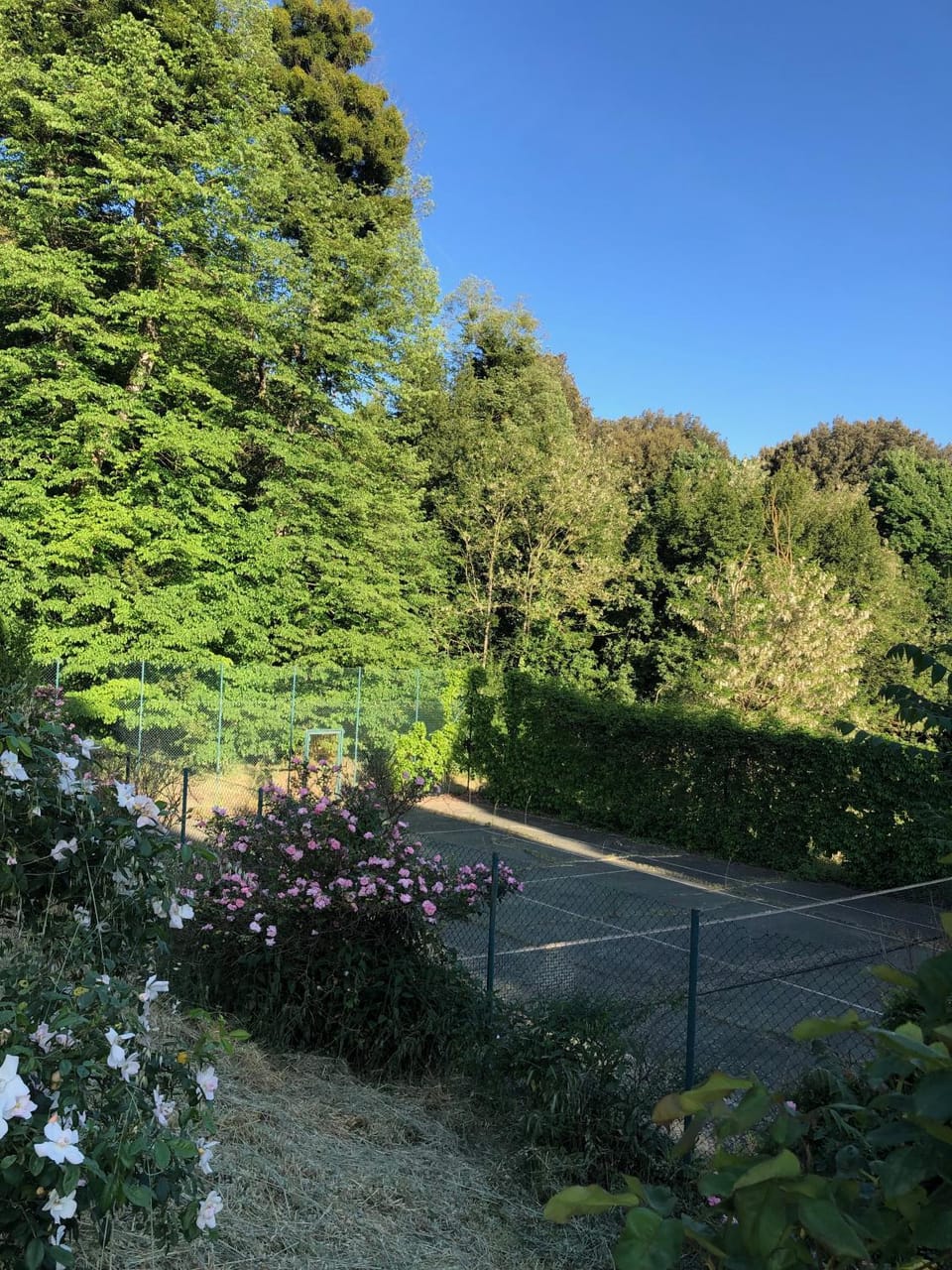 Tennis court