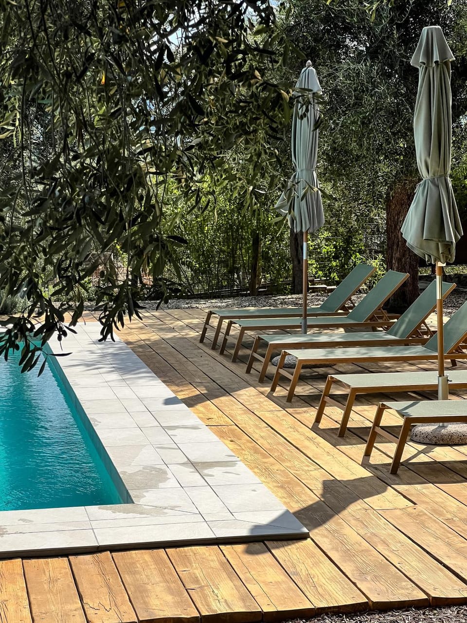 Natural landscape, Garden view, Swimming pool, sunbed