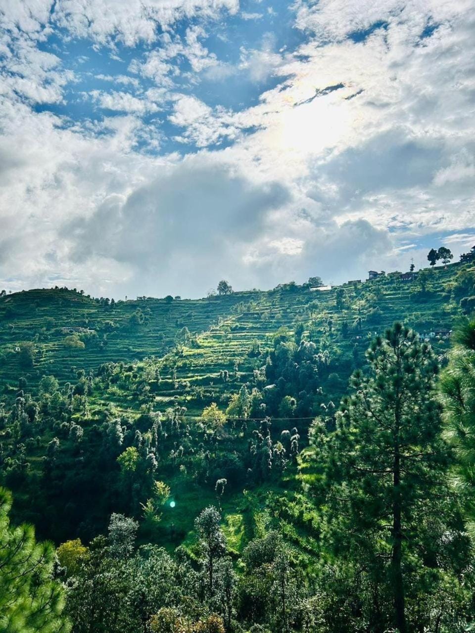 Mountain view