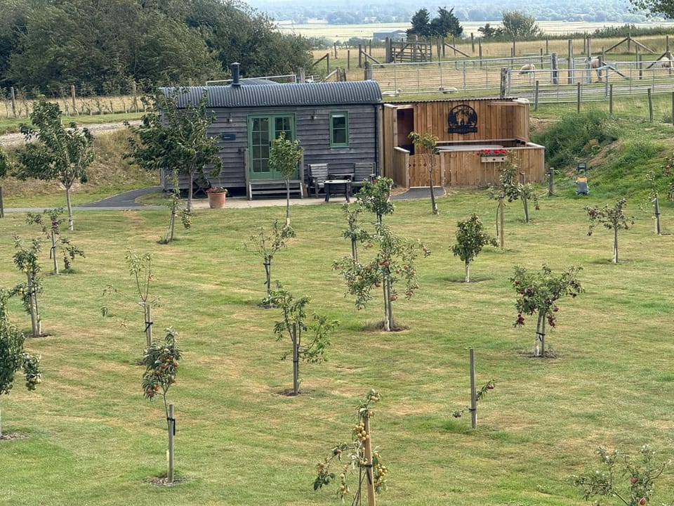 Coldharbour Luxury Shepherds Hut with Hot Tub Apartment in Rother District