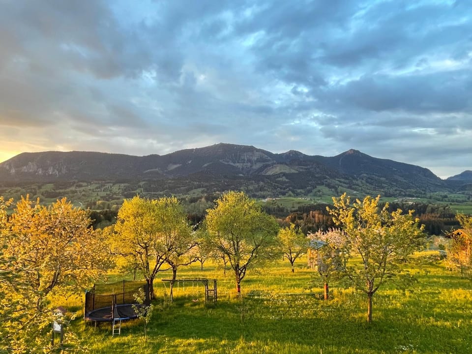 Mountain view