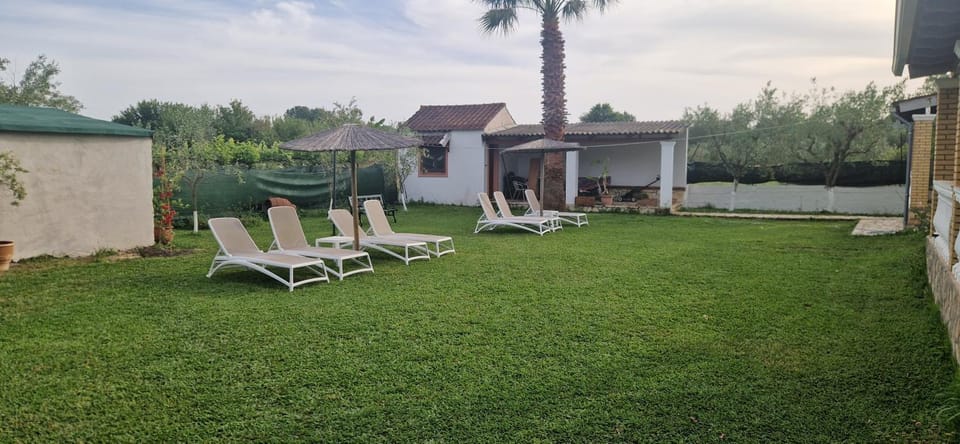 Natural landscape, Garden view, sunbed