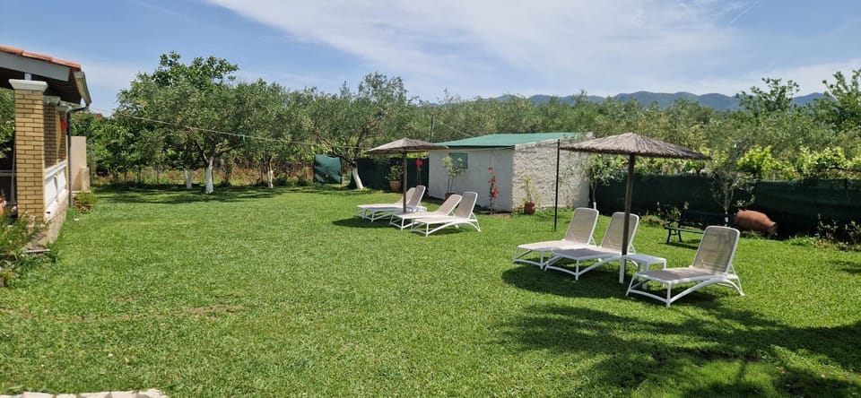 Natural landscape, Garden, Garden view, sunbed