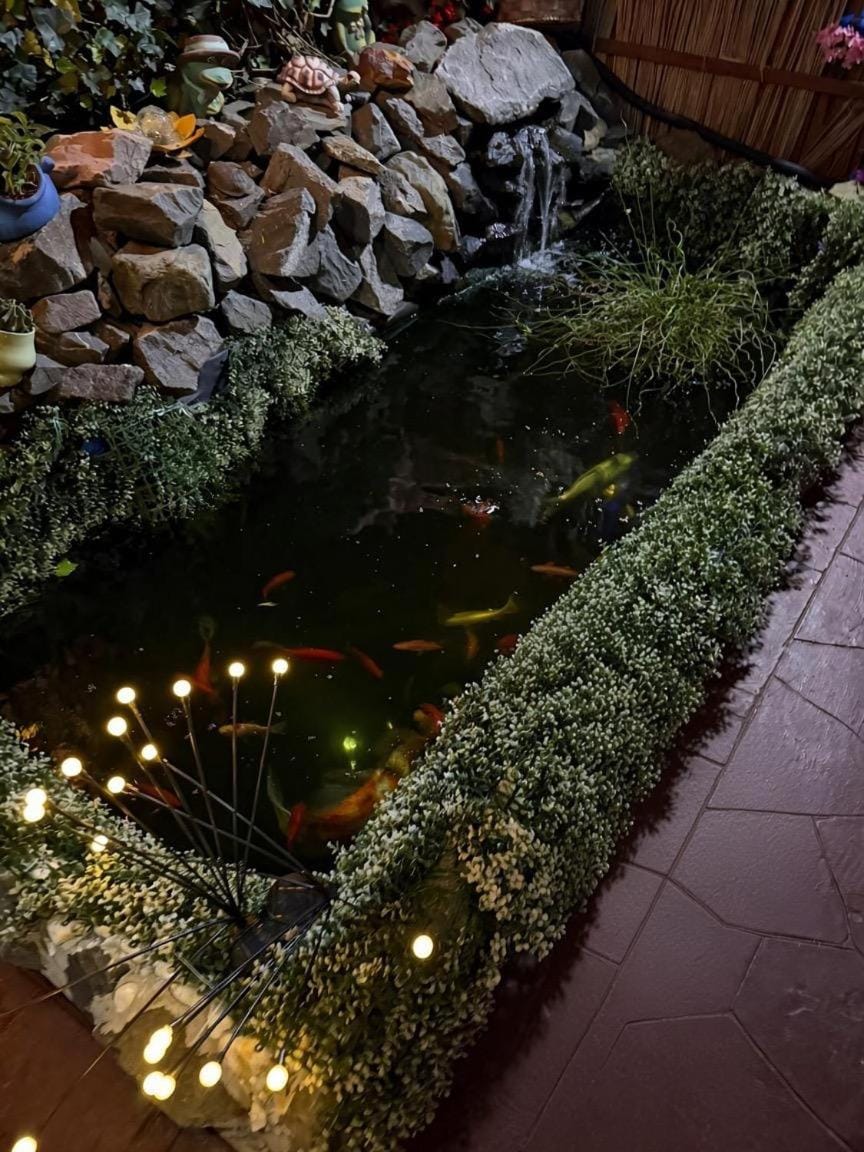 Property building, Night, Garden
