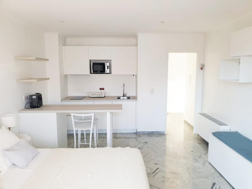 Beautiful T1 with sea view Apartment in Nice