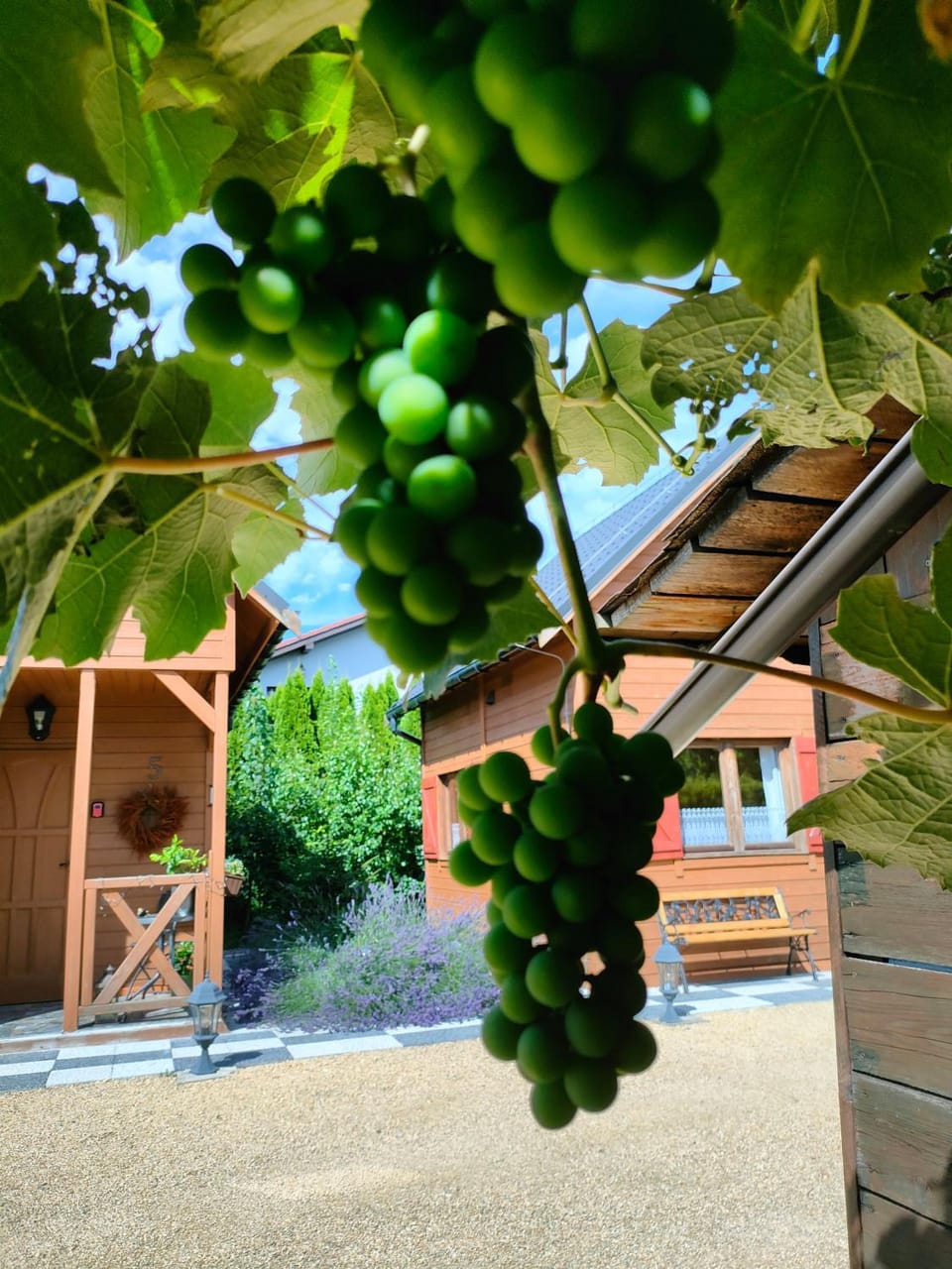 Domki Na Winnicy Zator Przeciszów Chalet in Lesser Poland Voivodeship
